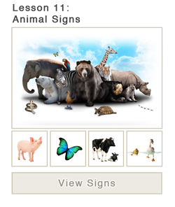 Animal Signs